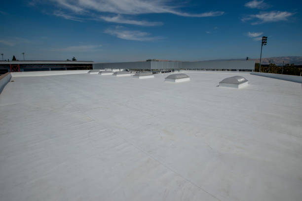 Best Gutter Installation and Repair  in Rockford, MI