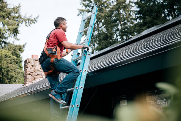 Best Chimney Flashing Repair  in Rockford, MI