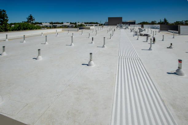 Best Gutter Installation and Repair  in Rockford, MI